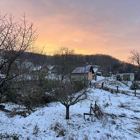 Apartman Iris Podhájska Dış mekan fotoğraf
